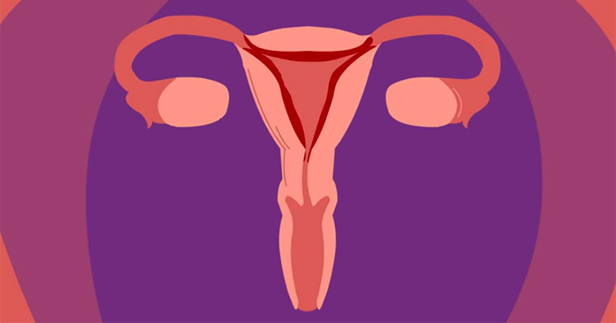 menstruation 