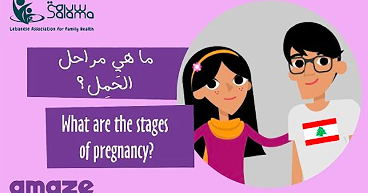 arabic-what-are-the-stages-of-pregnancy-amaze-usa